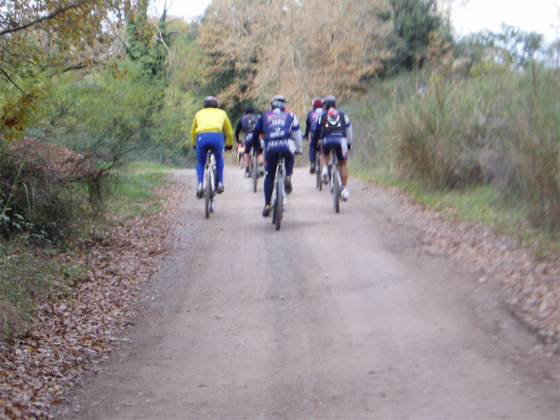 gal/2008/15 - escursioni autunnali MTB/PB220002-01.jpg